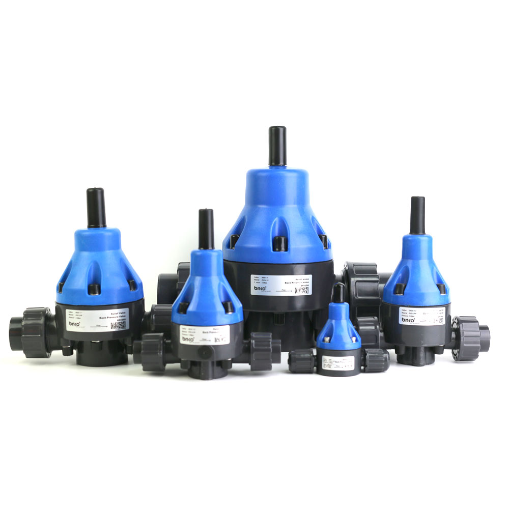 Back pressure valve / Safety valve